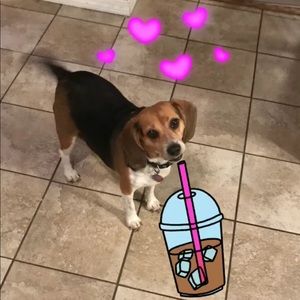 Meet your Posher, Krystie